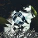 brissjewels