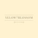 YelowBlossomClothing