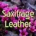 Saxifrage Leather