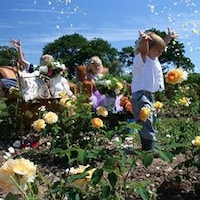 ArtisanDriedFlowerCo