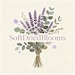 SoftDriedBlooms