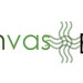 Canvasetcdotcom