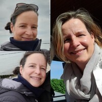HaberElements14