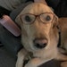 WigglesHomespunsShop