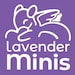 LavenderMinis