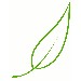 greenleafsoap