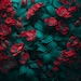 DanaColePhotography