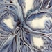 SarahLidsterFineArt