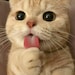 LovelyDigitalGiftsDL