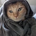 FelinityShop