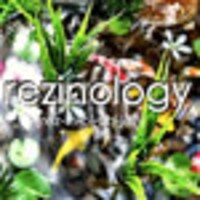 rezinology