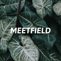 MEETFIELD