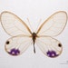 Buyer Avatar