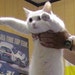 Loooooooooongcat