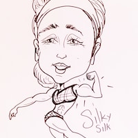 JDnSilkys