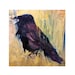And The Crow