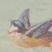 GottaBuyVintage