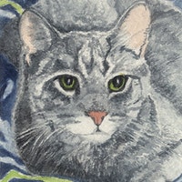 CatDesigns CatDesigns