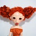 BarbaraLeeBosco