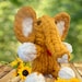 Knit Knotts