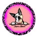 Buyer Avatar
