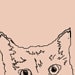 Buyer Avatar