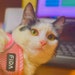 Buyer Avatar