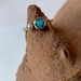 Opal and Gold