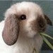 Buyer Avatar