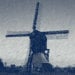All Picked Vintage avatar