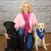 WagTailCollars