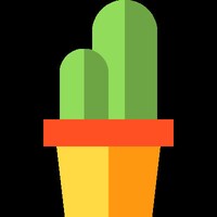 RareCactiSucculents