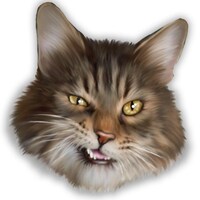PetCharacters
