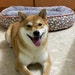 mich