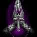 Buyer Avatar
