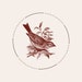 CraftySparrowStudio