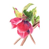 mariondeurloo