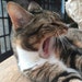 cece x