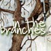 inthebranches