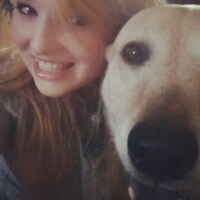 GoldenMtnMutts