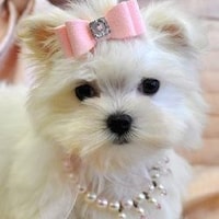 VintageDreamBeads