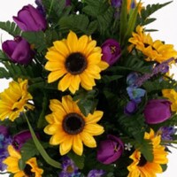 Hausofflowers225