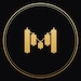 MetrivaStudio