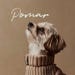 PomarPet