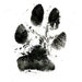 Paw Prints.ink