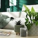 Homestylesplus