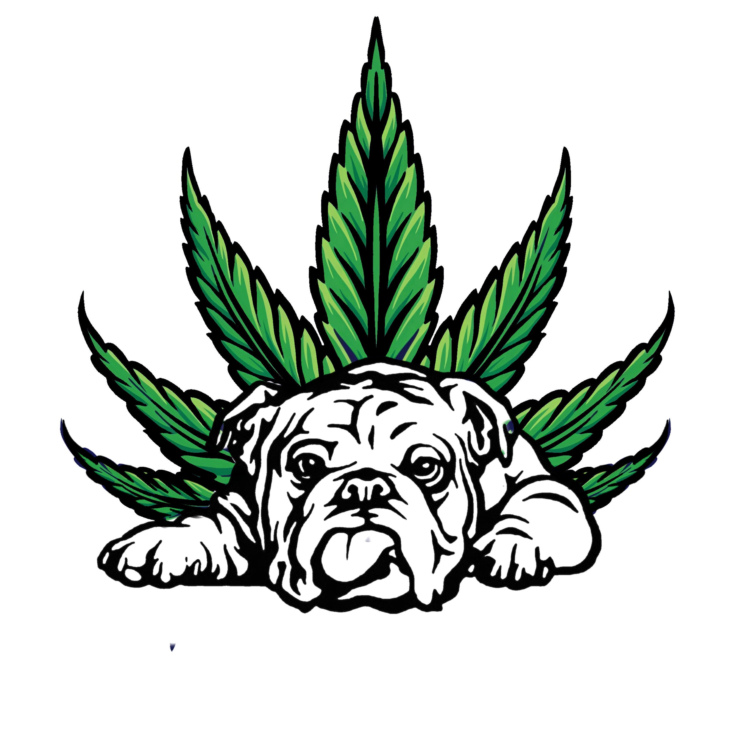 LuDogAccessories Etsy ludogaccessories-etsy