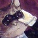Vik avatar