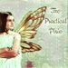 ThePracticalPixie