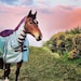 Buyer Avatar